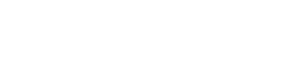 saying CONVERSION CATALYST