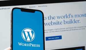 10 Ways to Make Your WordPress Website Insanely Fast